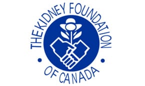 kidney
